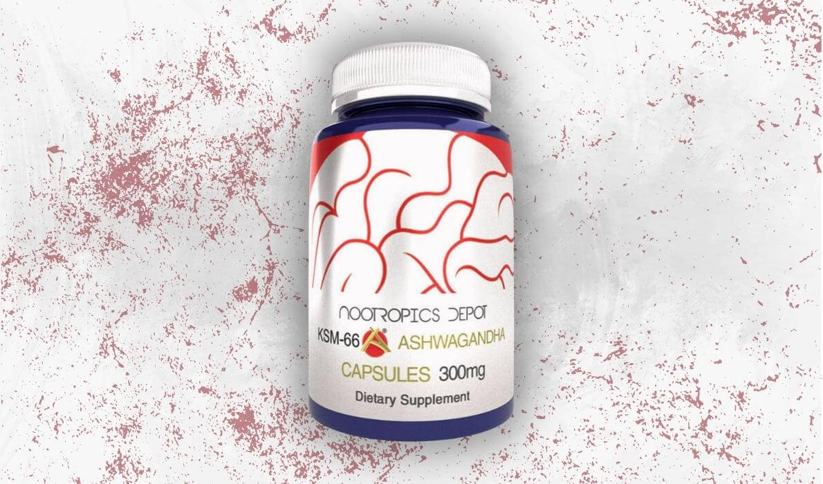 Ashwagandha KSM66 Nootropics Depot A Honest Review
